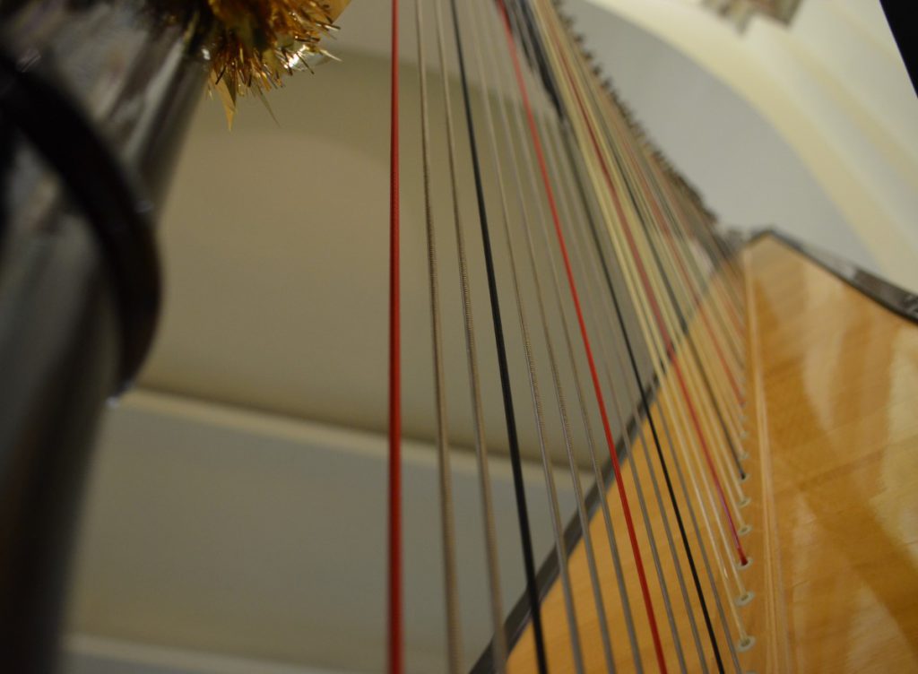 002-Elena-Guarneri-arpa-arpista-Natale-concerto 002-Elena-Guarneri-arpa-arpista-Natale-concerto