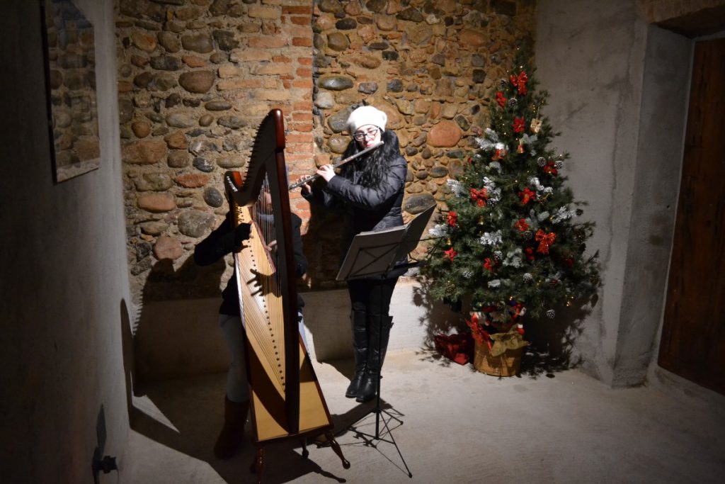 006-Elena-Guarneri-arpa-arpista-duo-flauto-voce 006-Elena-Guarneri-arpa-arpista-duo-flauto-voce