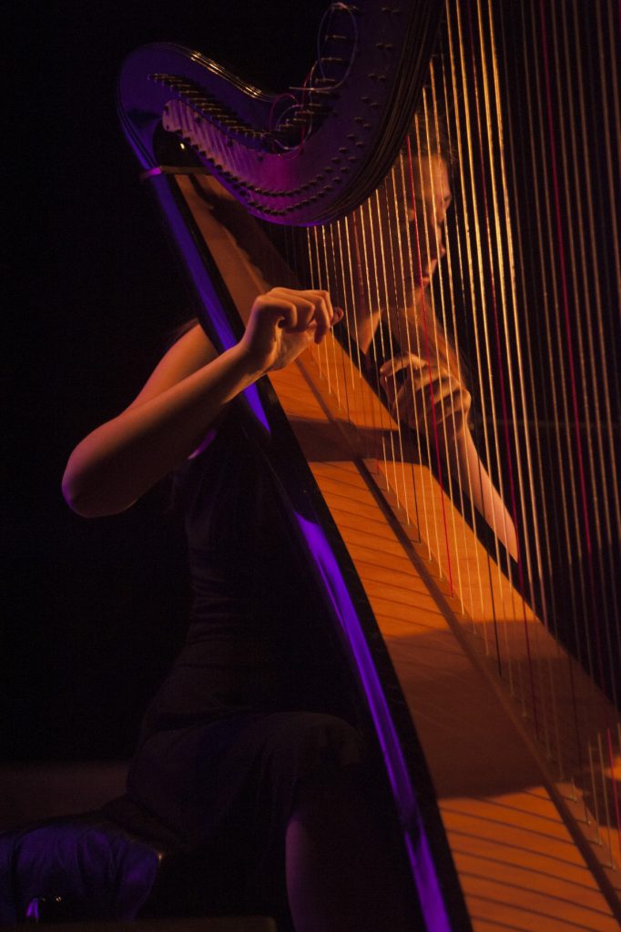 006-Elena-Guarneri-arpa-arpista-quintetto-Taino 006-Elena-Guarneri-arpa-arpista-quintetto-Taino