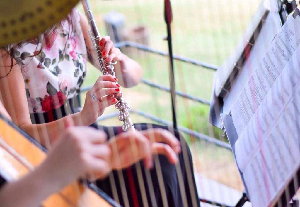 010-Elena-Guarneri-arpa-arpista-duo-vernissage 010-Elena-Guarneri-arpa-arpista-duo-vernissage
