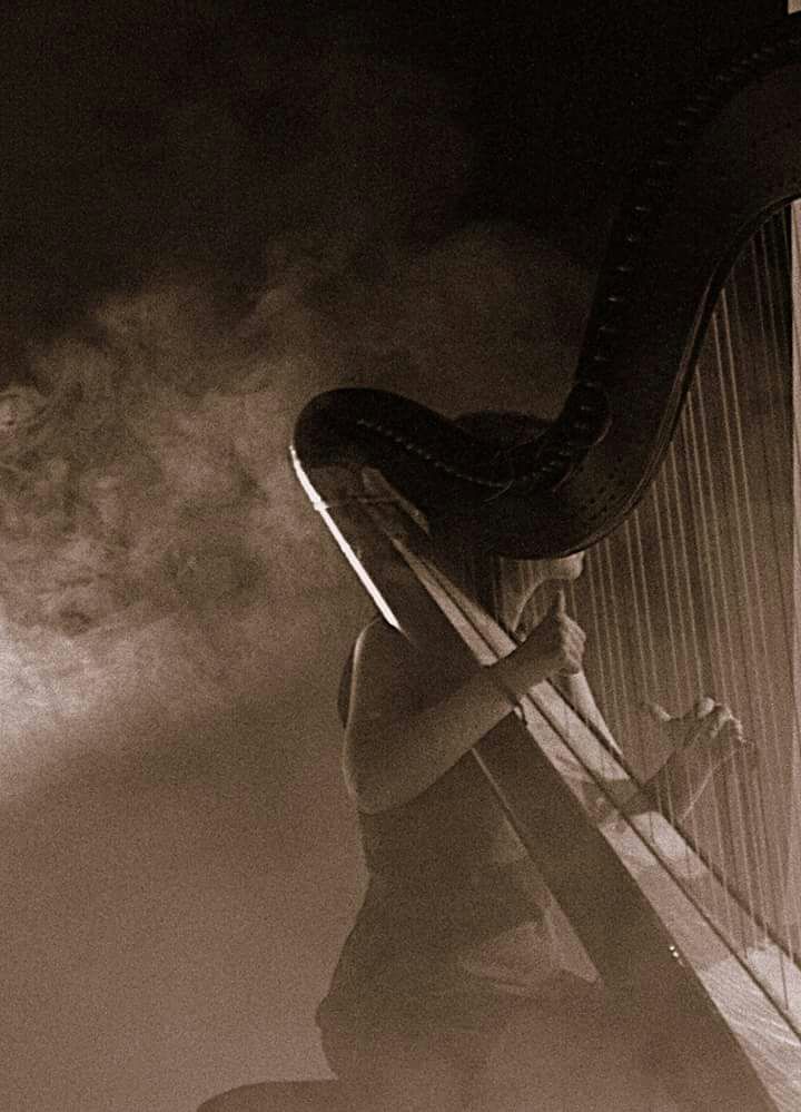 011-Elena-Guarneri-arpa-arpista-concerto-quintetto 011-Elena-Guarneri-arpa-arpista-concerto-quintetto