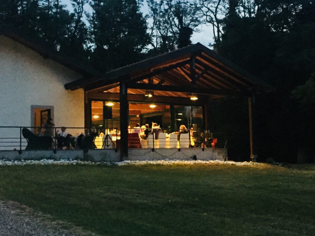 011-Elena-Guarneri-arpa-arpista-vernissage-voce 011-Elena-Guarneri-arpa-arpista-vernissage-voce