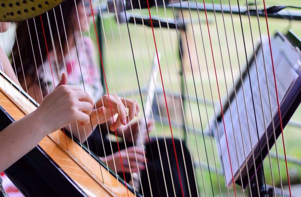 012-Elena-Guarneri-arpa-arpista-vernissage-flauto 012-Elena-Guarneri-arpa-arpista-vernissage-flauto