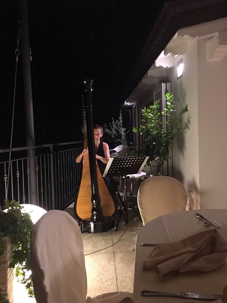 013-Elena-Guarneri-arpa-arpista-cena-sottofondo 013-Elena-Guarneri-arpa-arpista-cena-sottofondo