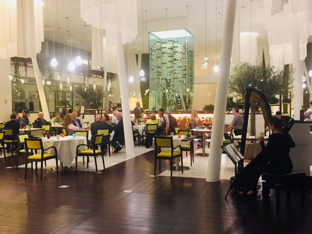 016-Elena-Guarneri-arpa-arpista-hotel-sottofondo 016-Elena-Guarneri-arpa-arpista-hotel-sottofondo