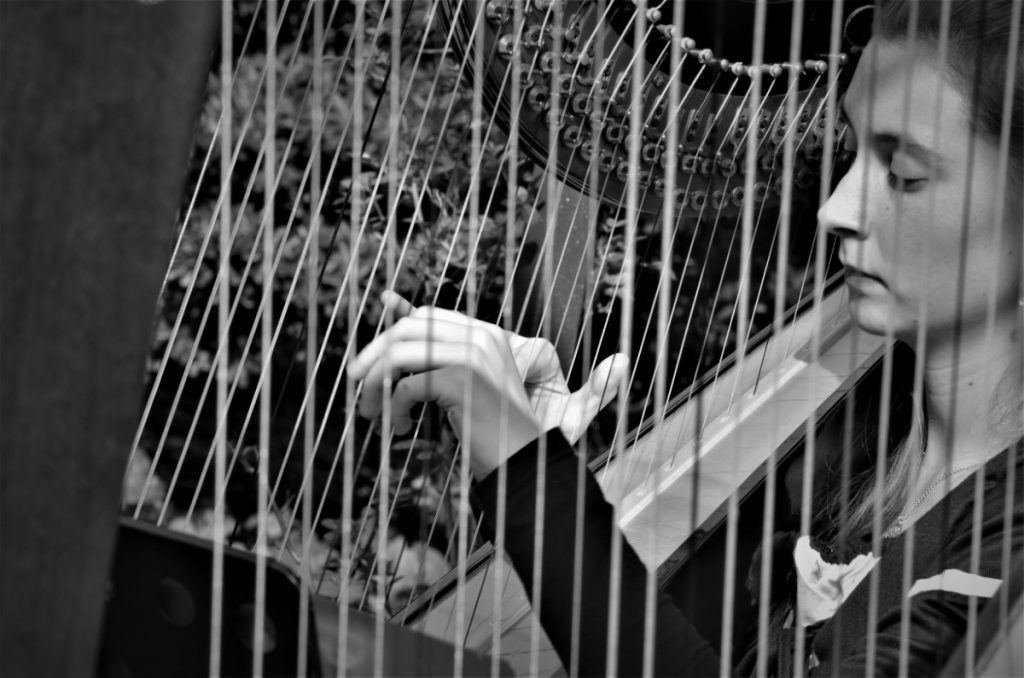 018-Elena-Guarneri-arpa-arpista-festa-fate-parco 018-Elena-Guarneri-arpa-arpista-festa-fate-parco