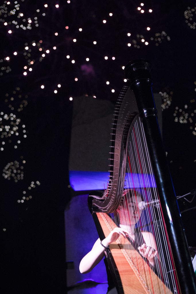 020-Elena-Guarneri-arpa-arpista-fuochi-parco 020-Elena-Guarneri-arpa-arpista-fuochi-parco