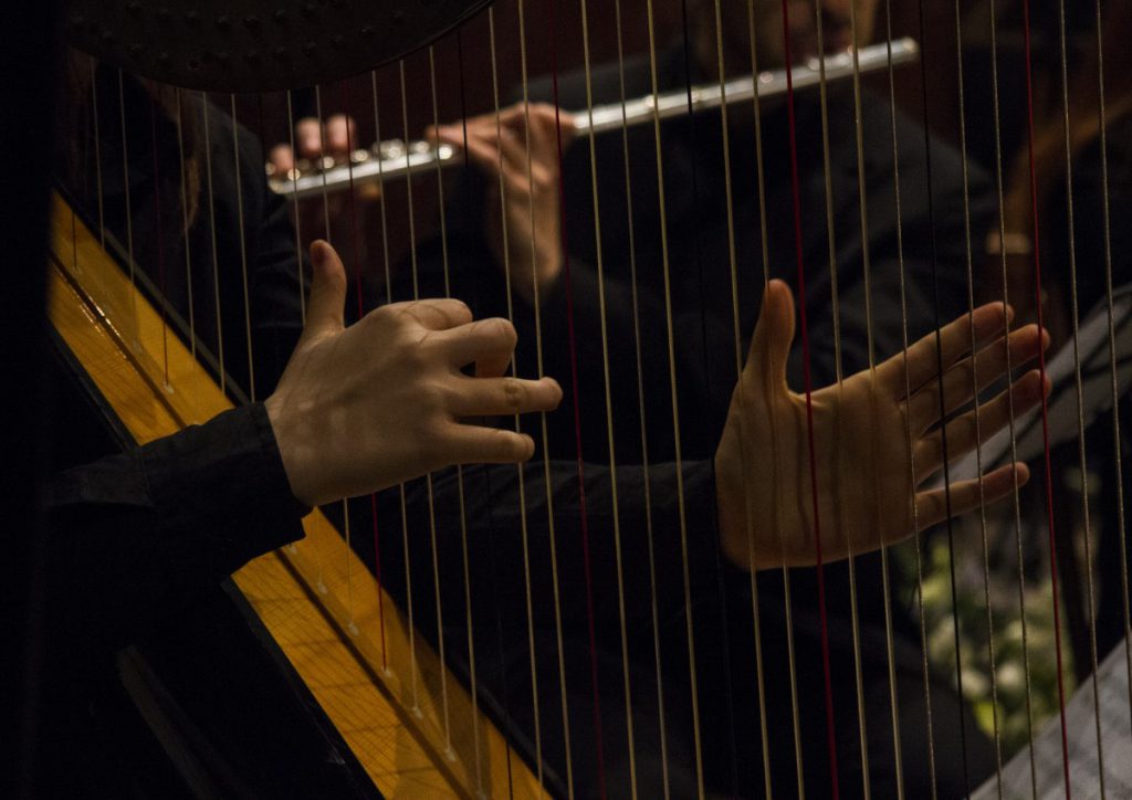 022-Elena-Guarneri-arpa-arpista-Natale-ensemble 022-Elena-Guarneri-arpa-arpista-Natale-ensemble