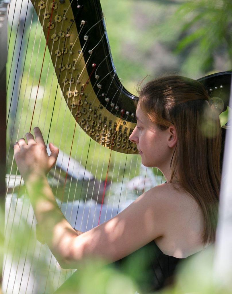023-Elena-Guarneri-arpa-arpista-viola-voliera 023-Elena-Guarneri-arpa-arpista-viola-voliera