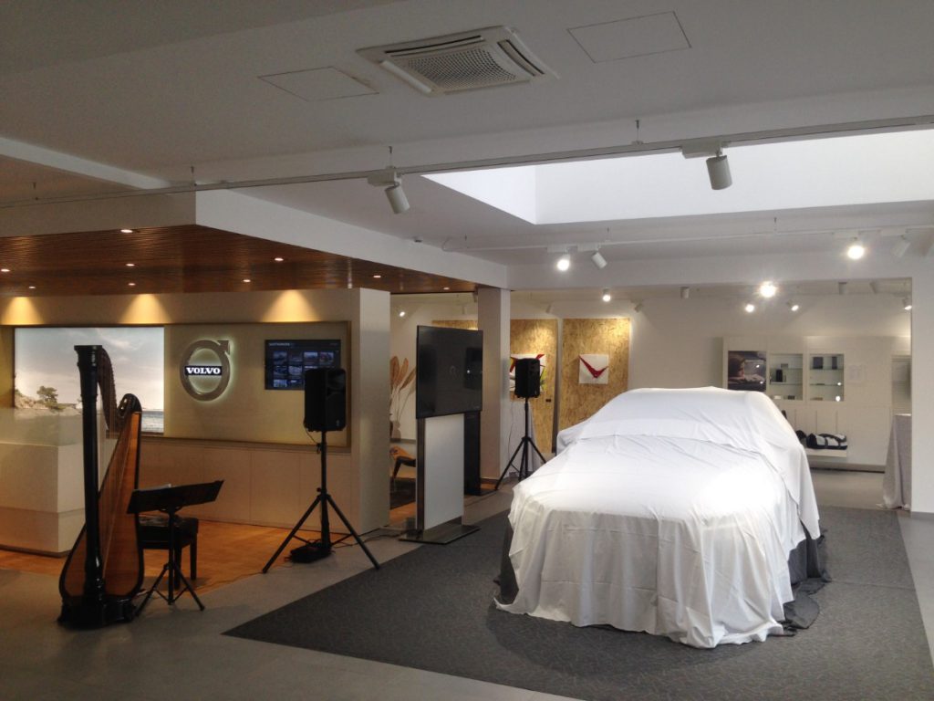 030-Elena-Guarneri-arpa-arpista-evento-auto 030-Elena-Guarneri-arpa-arpista-evento-auto