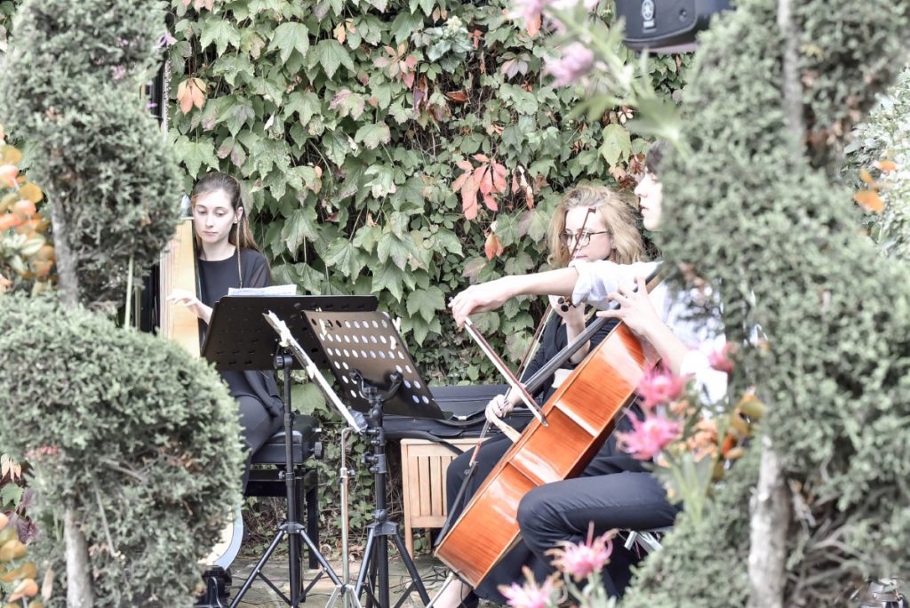 040-Elena-Guarneri-arpa-arpista-sfilata-violino-violoncello 040-Elena-Guarneri-arpa-arpista-sfilata-violino-violoncello